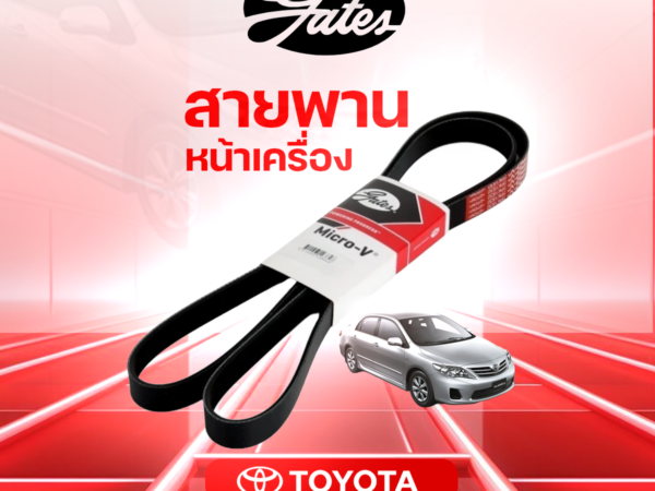 GATES สายพานหน้าเครื่อง ALTIS 1ZZ, 3ZZ ปี 2008